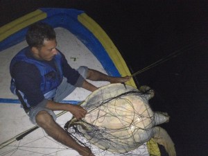 Alejandro Juvenile rescue