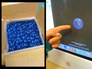 Latino American - Blue Marbles - 13