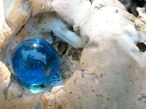 Latino American - Blue Marbles - 52