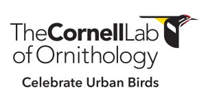 CL_logo_stack_BirdSleuth_BK_CMYK