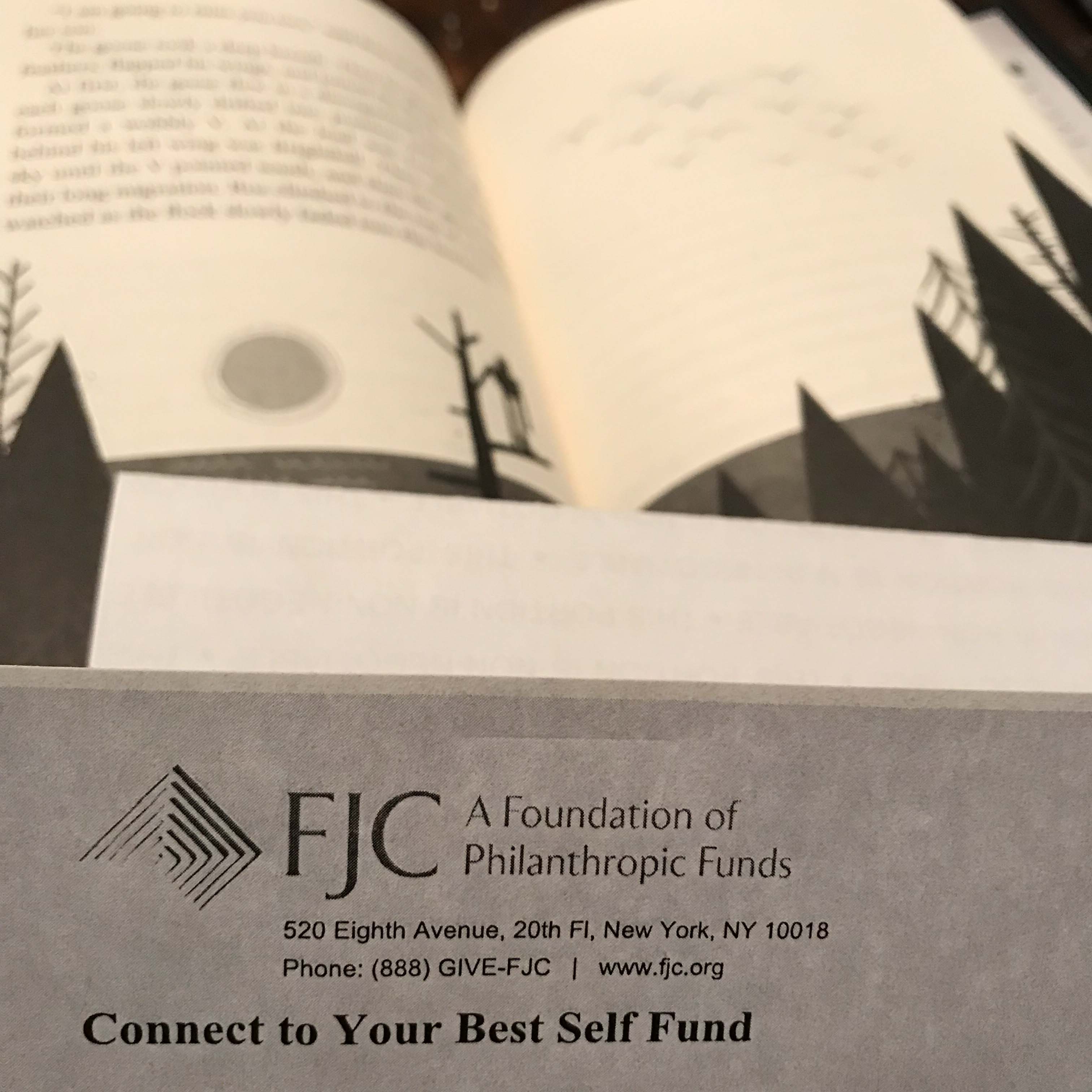 20180131BlakeMiniLIbraryIMG_5166